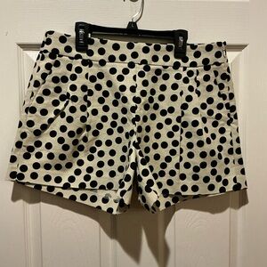 J. Crew Factory NWT High Waist Cream Black Polka Dot Shorts Womans Size 10 Vaca